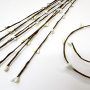 Willow sprig Jasmine 1pcs - 0