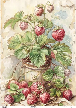 Decoupage card #0853, 29,7x42cm