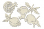 Набор чипбордов Botany exotic 10х15 см #716