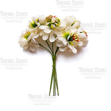 Set of apple flowers white green, 6 pcs