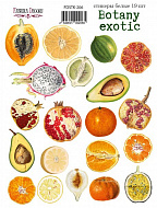 набор наклеек (стикеров) 19 шт botany exotic #206