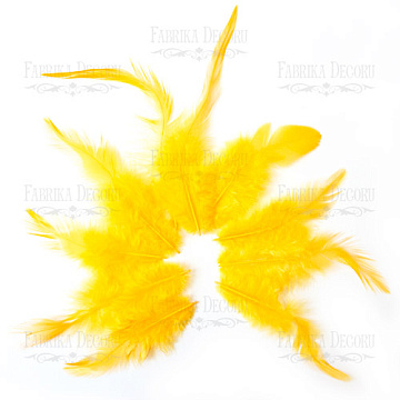 Feathers set with a tail "Solar"