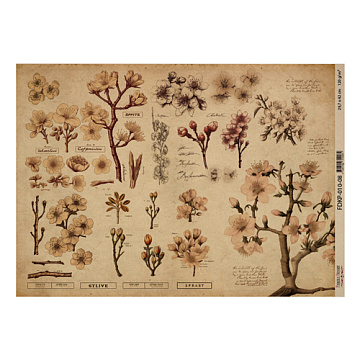 Arkusz kraft papieru z wzorem "Botany spring", #8, 42x29,7 cm