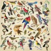 лист с картинками для вырезания птицы 30,5х30,5 см