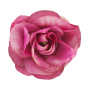Teerosenblüte mini, Rosa, 1St