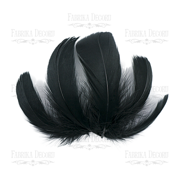 Feathers set maxi "Black"