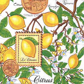 Decoupage napkin "Lemon"