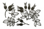 набор чипбордов autumn botanical diary 10х15 см #737 