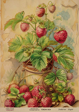 Kraft Decoupage Papier 21x29,7cm, “Botanica Vintage”, #0024