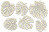  Набор чипбордов Botany exotic 10х15 см #718 color_Milk