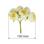 Jasmine flowers maxi Ivory 6 pcs - 0