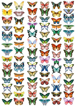 Overlay "Schmetterlinge mini" 21х29,7 сm