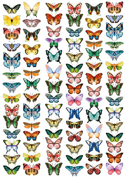 Overlay "Butterflies mini" 21х29,7 сm