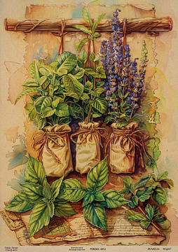Kraft Decoupage Papier „Botanica Kraft“, 29,7 x 42cm, #0012