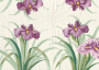 Decoupage napkin "Irises 2"