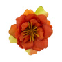 Clematis flower orange-red, 1 pc - 0