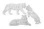 Набор чипбордов Тигры 10х15 см #765