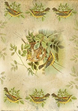 Decoupage card #0056, 21x30cm, Fabrika Decoru