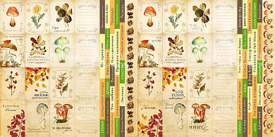 набор полос с картинками для декорирования botany autumn 5 шт 5х30,5 см