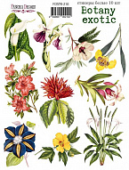 Set of stickers 10pcs Botany exotic  #210