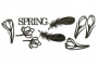 Набор чипбордов Botany Spring 1 10х15 см #307
