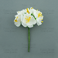 Jasmine flowers White 6 pcs