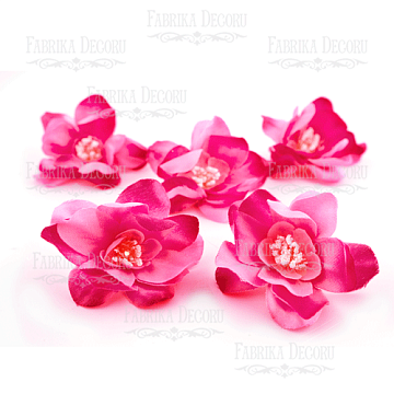 Magnolia flower pink with fuchsia, 1pcs