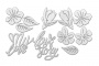 Набор чипбордов Magnolia in bloom 10х15 см #187