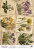 deco vellum colored sheet spring botanical story blooming, a3 (11,7" х 16,5")