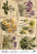 deco vellum colored sheet spring botanical story blooming, a3 (11,7" х 16,5")