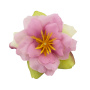 Kwiat powojnika różowy shabby, 1 szt