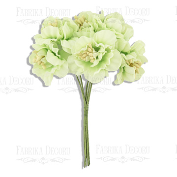 Sakura flowers set light green, 6 pcs