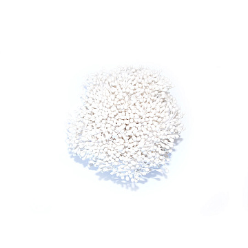 Set of small stamens 2-sided White 20pcs