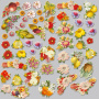 Set of die cuts Botany exotic fruits, 54 pcs - 1