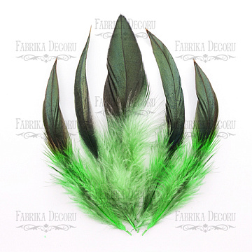 Feathers set "Emerald black"
