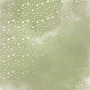 Arkusz papieru jednostronnego wytłaczanego srebrną folią, wzór  Srebrne gwiazdki, kolor Oliwka akwarela 30,5x30,5cm