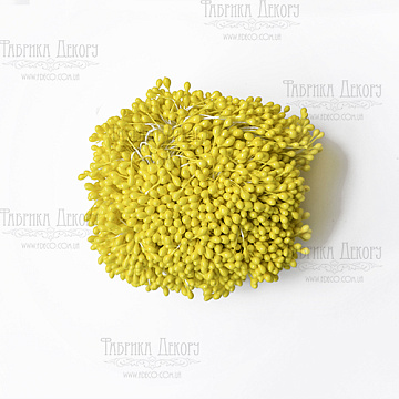 Set of small stamens 2-sided Lemon 20pcs