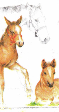 Decoupage napkin "Horses" - 2