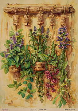 Kraftowy papier do decoupage, 29,7x42cm, „Botanica Kraft”, #0009