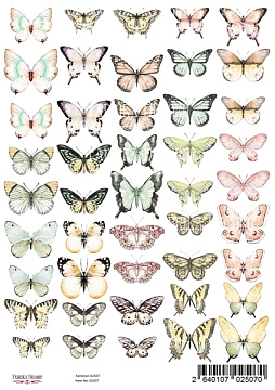 Set of of pictures for decoration "Butterflies" A4