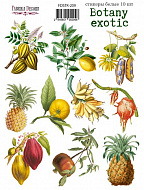 набор наклеек (стикеров) 10 шт botany exotic #209