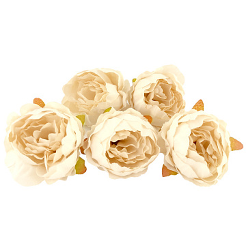 Herbaceous peony ivory, 1 pc