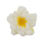 Clematis flower milky white, 1 pc - 0