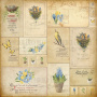 Doppelseitiges Scrapbooking-Papierset Botany Spring, 20 cm x 20 cm, 10 Blätter