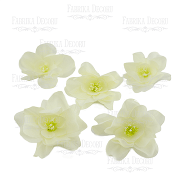 Magnolia flower white, 1pcs