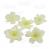 цветок магнолии белый, 1шт