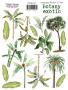 Set of stickers 15pcs Botany exotic  #207