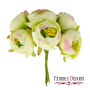 Цветы жасмина maxi Салатовые с розовым 6 шт