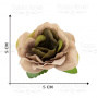 Rose flowers, color Beige with olive, 1pcs - 0