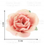 Rosenblüten, Farbe Pfirsichrosa, 1 Stk
